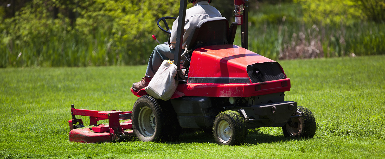 电动草坪护理工具
